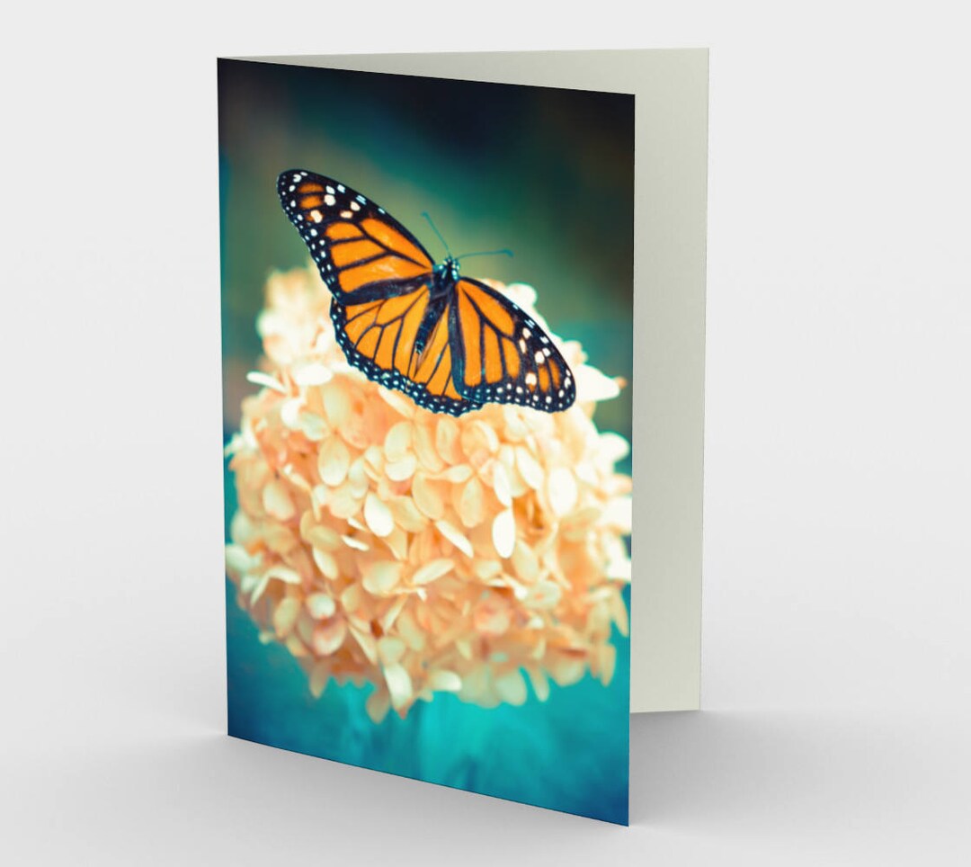 Monarch Butterfly Photograph Blank Note Cards, Nature Note Cards, Set ...