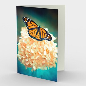 Monarch Butterfly Photographie Cartes De note vierge, Cartes De note de la nature, Ensemble de trois cartes de note, 5x7 Cartes, Nature Blank Card, Toutes les cartes Occasion
