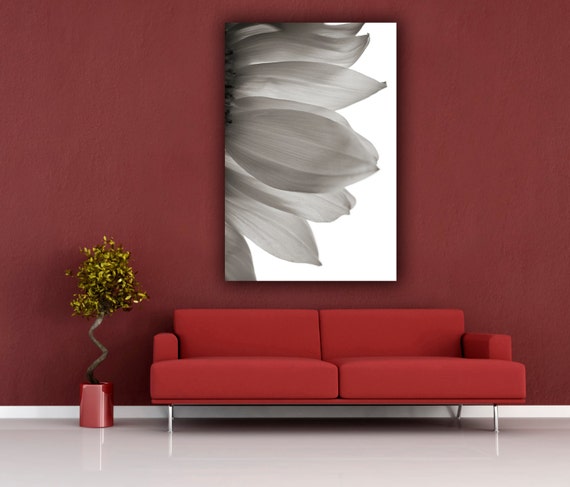 Gerber Daisy Photograph, Black and White Flower Photo Print, Botanical Wall Decor