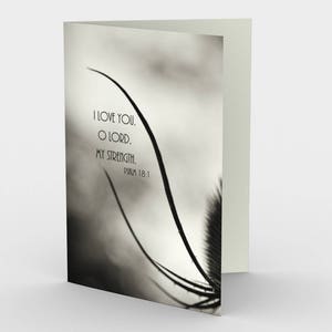 I Love You O Lord Verse Cartes De note blanche, Ensemble photo de chardon de trois cartes de note 5x7, Christian Fine Art Card