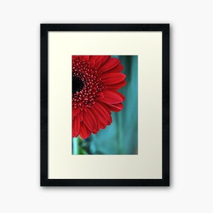 Framed Red Flower Photograph, Ready to Hang Fine Art Nature Photography Print, Nature lovers Art, Red and Teal Home Office Wall Decor