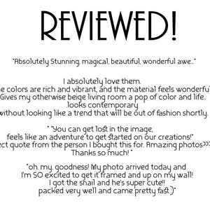 May include: Customer reviews for a product, with text highlighting the vibrant colors, rich material, and contemporary style. The reviews mention the product's ability to add a pop of color to a room and its timeless design.