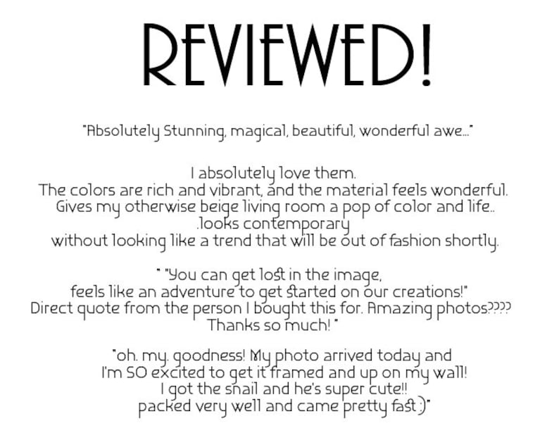 Nature photograph Choose your Own Prints Two Wall Print set Macro Photography Black and White Photos Large Wall Home Decor Photo Prints