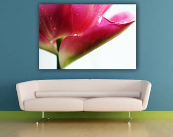 Pink Tulip Photograph, Minimal Floral Wall Art, Botanical Print