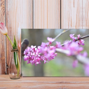 以下が含まれることがあります： ぼかした背景にピンクの花が咲いた枝のクローズアップ。花は満開で、繊細で女性らしい印象です。