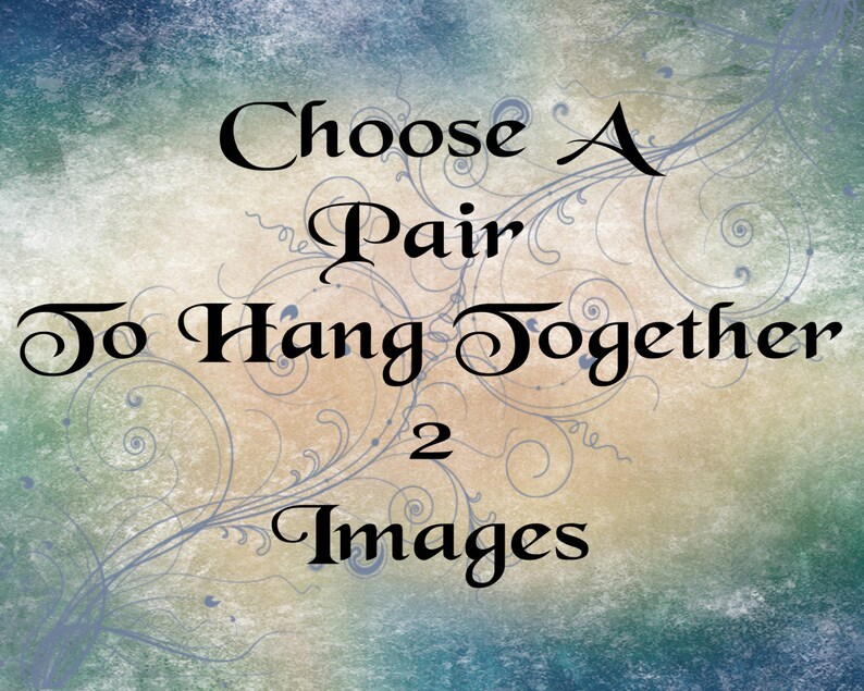 Nature photograph Choose your Own Prints Two Wall Print set Macro Photography Black and White Photos Large Wall Home Decor Photo Prints