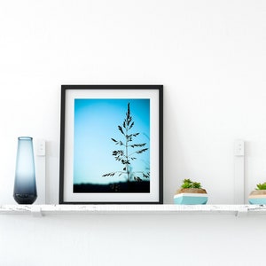 Blue Sky Photograph, Nature Photo Print, Fine Art Photography, Art Lovers Gift Bedroom Living Room Office Wall Decor