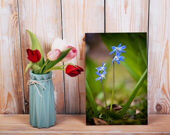 Winzige blaue Blumen Mini Tisch Oben Leinwand, Floral Mini Giclée Leinwand Kunst, kleine Kunst auf Leinwand Druck, Floral Canvas Regal Sitter