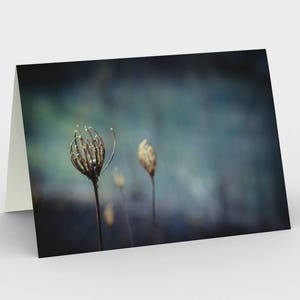 Cartes ethereal Nature Blank Note, Cartes de vœux bleues, Trois cartes de note 5x7, Carte Blanche Nature, Cartes Toutes les occasions