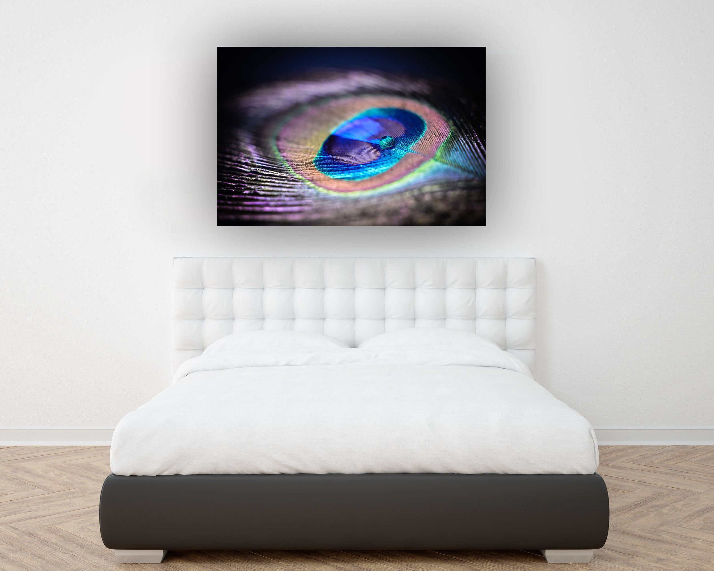 Water Drop On Peacock Feather Art Print by Miragec 