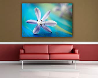 Blue Flower Fine Art Photograph, Pastel Floral Photo Print