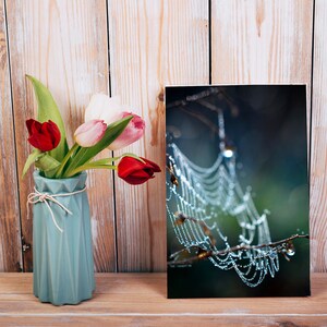 Cobweb Covered in Dew Mini Table Top tela, Dew Drop Mini Giclee Canvas Art, Piccola arte su canvas stampa, Nature Canvas Shelf Sitter
