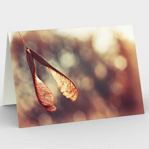 Ahorn Samen Karte, leere Note Karten, Natur-Hinweis-Karten, Grußkarten, drei-Noten-Karten, 5 x 7 Karten, Natur leere Karte, alle Gelegenheit Karten