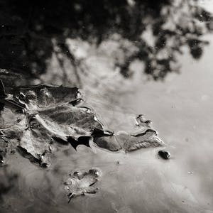 Black & White Nature Photograph, Sky Water Reflection Photo Print, Monochromatic Photography Bedroom Living Room Office Wall Decor