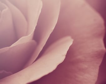 Impresión fotográfica de una rosa rosa polvorienta, arte floral de pared con un toque romántico