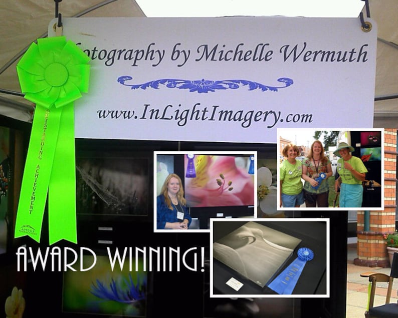 May include: A green ribbon with the text "Artist Awarding Achievement" hangs above a sign that reads "Photography by Michelle Wermuth" and "www.InLightImagery.com". The sign is surrounded by framed photographs of flowers, landscapes, and portraits. The text "Award Winning!" is displayed below the sign.
