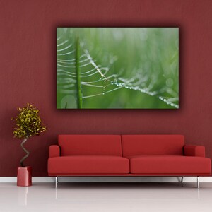 May include: A red sofa sits in front of a red wall with a framed photograph of a spider web with dew drops on it.