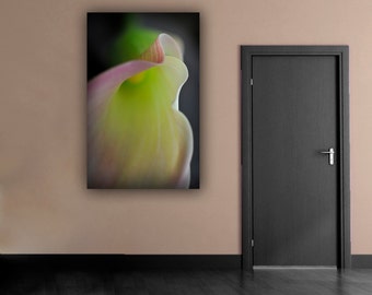 Sensual Calla Lily Flower Photograph, Botanical Vertical Wall Art, Romantic Fine Art Nature Photography, Georgia O'Keeffe Inspired Photo