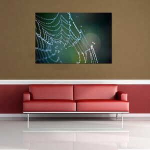 Spider Web Photography, Nature Photo Print, CobWeb Photograph, Dew Drop Living Room Decor, Art Lovers Gift Bedroom Office Wall Decor