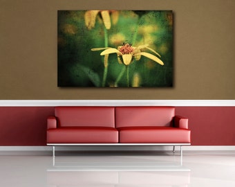 Yellow Flower Photograph, Rustic Botanical Photo Print