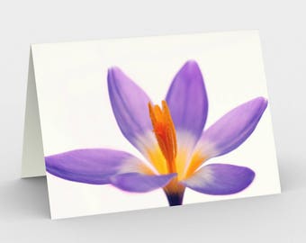 Lila Krokus-Karte, leere Note Karten, Natur-Hinweis-Karten, Grußkarten, drei-Gruß-Karten, 5 x 7 Karten, Natur leere Karte, alle Gelegenheit Karten