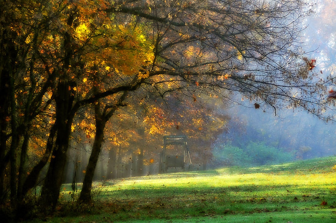 その他 M クラスを超えたゆとり。カワサキスーパースポーツのこだわりから生まれ