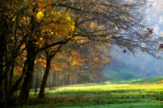 Autumn Landscape Photograph, Fall Tree Grove Photography, Nature Ethereal Photo Print