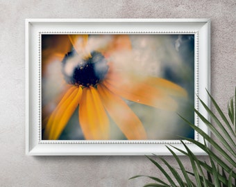 Dreamy Black Eyed Susan Flower Photograph, Yellow Close Up Flower Bedroom Decor, Nature Photography, Fine Art Photo Print