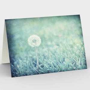 Cartes bleues de note blanche de fleur de pissenlit, cartes de note de nature, cartes de voeux, trois cartes de note 5x7, cartes de toutes les occasions