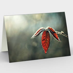 Carte feuille d’automne, cartes De note vierges, Cartes De note nature, Cartes de vœux, Trois cartes de note, 5x7 Cartes, Carte Blanche Nature, Toutes les cartes Occasion