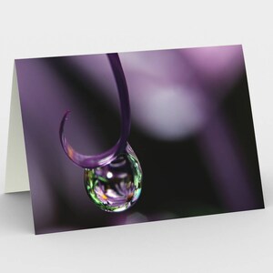 Purple Water Drop Cartes De note vierge, Cartes De note de la nature, Cartes de vœux, Trois cartes de note, 5x7 Cartes d’Art, Nature Blank Card
