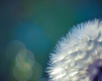 Dandelion Photograph, Teal Bokeh Macro Photo Print, Wishing Seed Picture, Horizontal Wall Art, Ethereal Dreamy Photography, Nature Photo