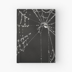 May include: A black and white photograph of a spider web with dew drops on it. The web is in focus and the background is blurred.