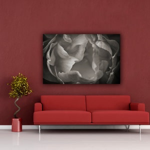 May include: A red sofa with a black and white photo of a flower hanging above it. A small green plant is in a red pot on the floor.
