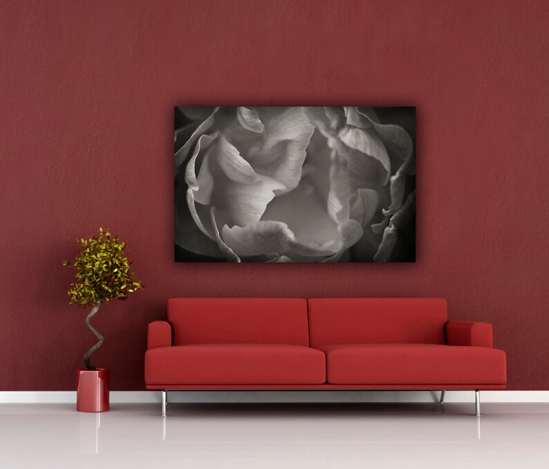 May include: A red sofa with a black and white photo of a flower hanging above it. A small green plant is in a red pot on the floor.