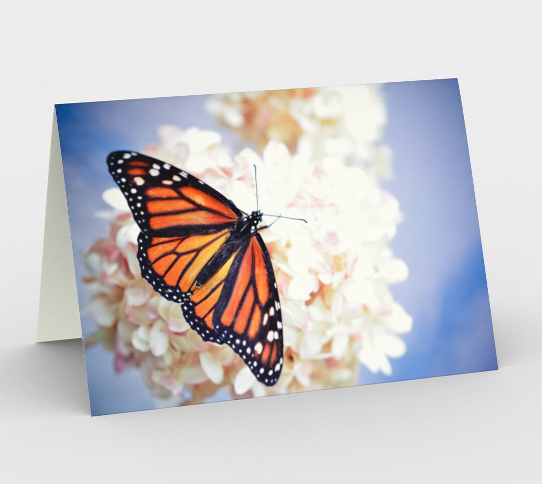 Monarch Butterfly Blank Note Cards, Nature Note Cards, Greeting Cards ...