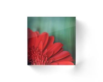Red Floral Acrylic Block, Fine Art Paperweight, Nature Decor