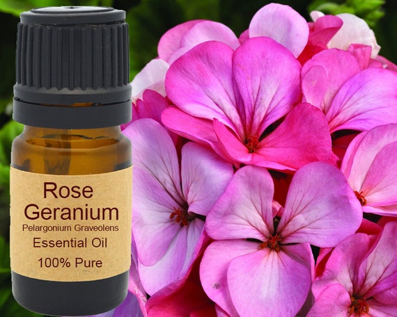 Olio Essenziale Di Geranio Rosa Bourbon 100% Naturale – Floria Natural, 5 Ml, Uso Aroma E Massaggio