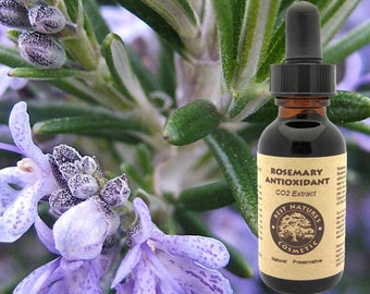 Natural Rosemary Antioxidant - Natural Preservative used in various carrier oils to prolong their shelf life.