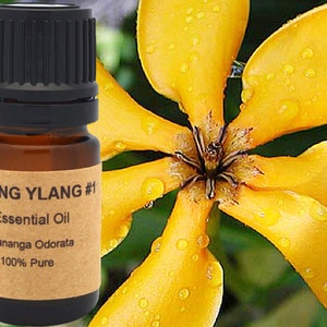 Ylang Ylang Essential Oil 5 ml, 10 ml or 15 ml