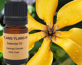 Ylang Ylang Essential Oil: Steam Distilled, Floral Aroma 0.5oz / 15ml