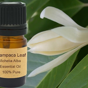 May include: A small brown glass bottle with a black cap, labeled "Champaça Leaf Michelia Alba Essential Oil 100% Pure". The bottle is in front of a white flower with green leaves.