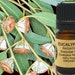 see more listings in the Essential oils section