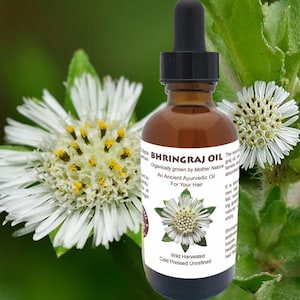 Bhringraj Oil, Ayurvedic Hair Growth Treatment image 1