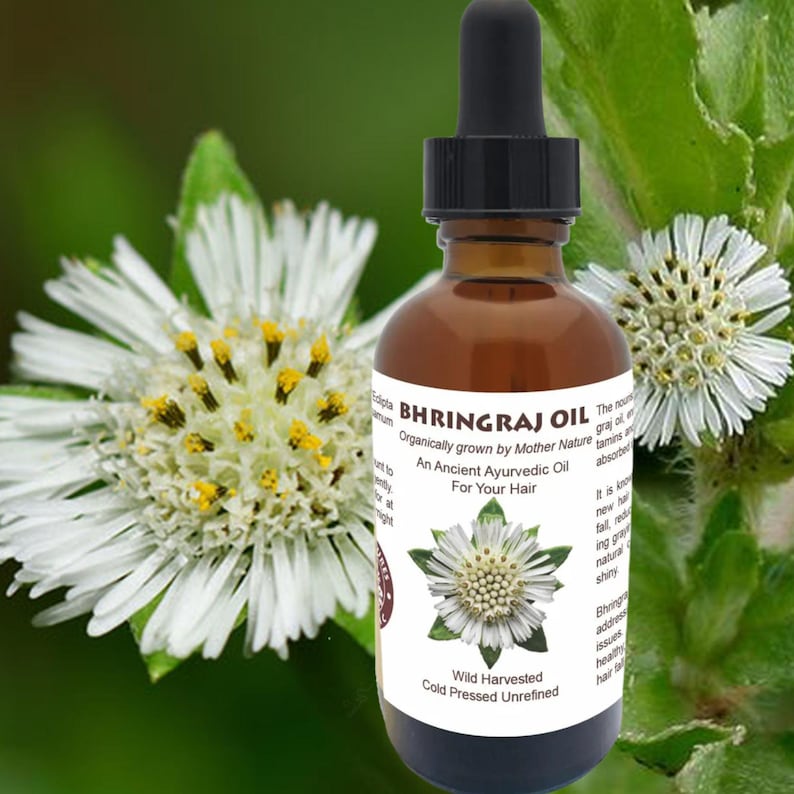 Bhringraj Oil, Ayurvedic Hair Growth Treatment image 1