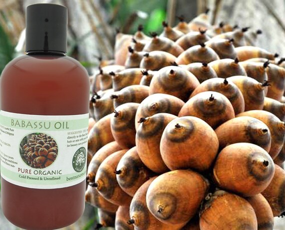 Babassu Oil Organic Cold Pressed Unrefined conditions the | Etsy Babassu Oil Organic Cold Pressed Unrefined conditions the | Etsy