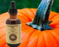 Pumpkin Seed Oil (organic, undiluted, cold pressed, unrefined) product logo