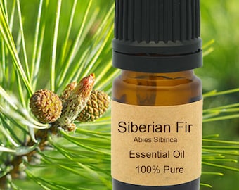 Ätherisches Öl aus sibirischer Tanne: 100% rein, dampfdestilliert 15 ml