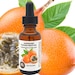 see more listings in the Natural Plant Oils Pure section