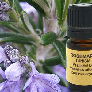 Rosemary Essential Oil (Organic) 5 ml, 10 ml or 15 ml